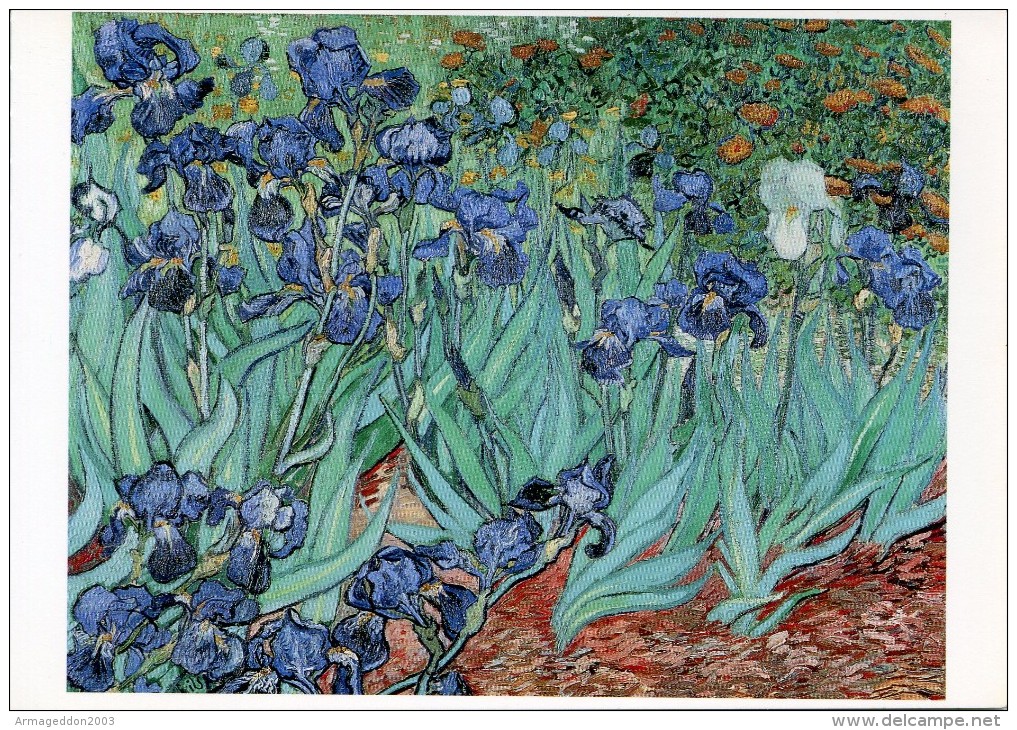 V50 / NEUVE CP VINCENT VAN GOGH LES IRIS VOIR DOS - Van Gogh, Vincent