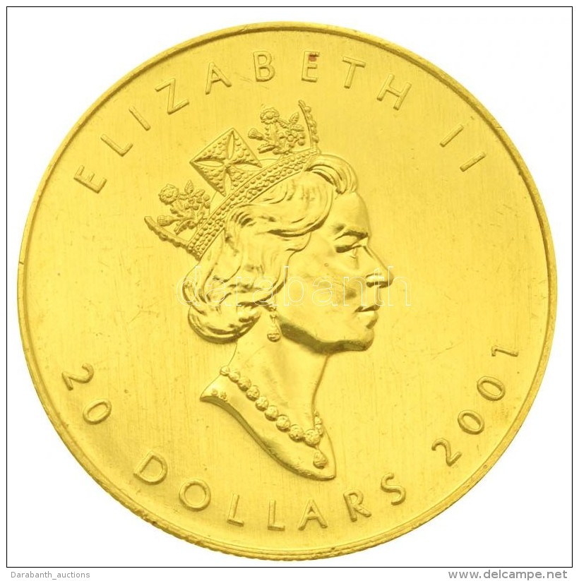 Kanada 2001. 20$ Au 'II. Erzsébet' (15,6g/0.999) T:2
Canada 2001. 20 Dollars Au 'Elizabeth II' (15,6g/0.999)... - Zonder Classificatie