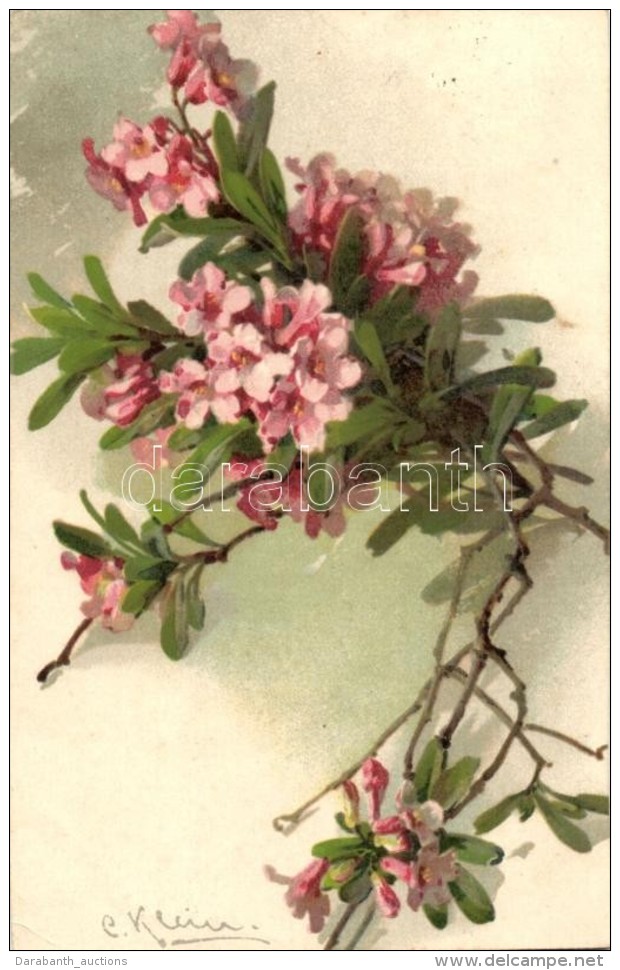 T2/T3 Flower, Art Postcard, Litho S: C. Klein (EK) - Zonder Classificatie