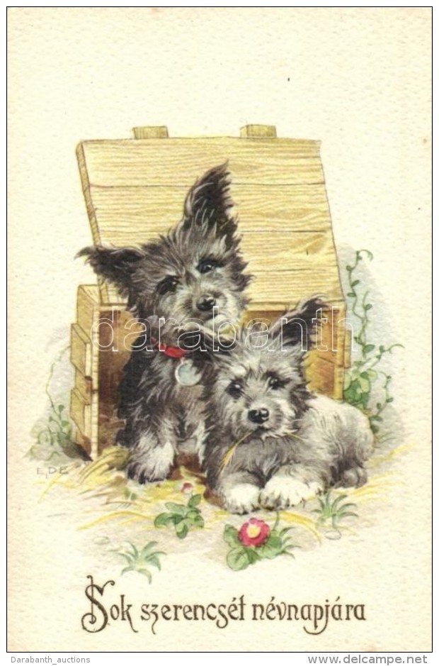 * T2 'Sok Szerencsét Névnapjára' / Nameday Greeting Card With Dogs - Zonder Classificatie