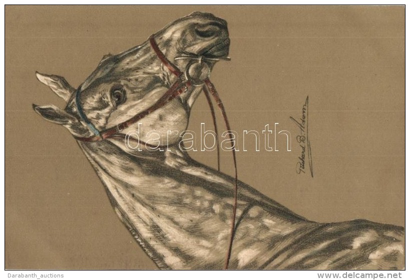 T2 Horse Head, Meissner &amp; Buch Künstler-Postkarten Serie 1880. 'Pierdeköpfe' Emb. Litho S: Richard B.... - Zonder Classificatie