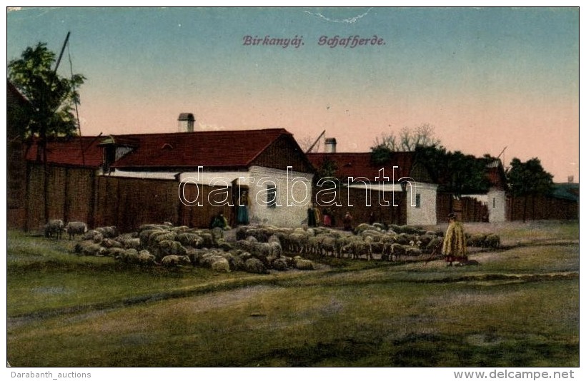 ** T2/T3 Birkanyáj / Hungarian Folklore, Sheep - Zonder Classificatie