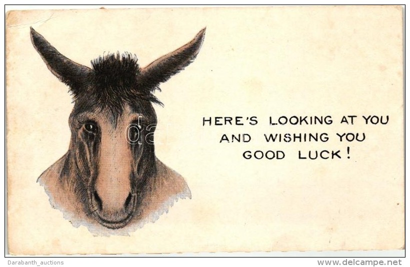 T3 Here's Looking At You And Wishing You Good Luck! / Donkey  (EB) - Zonder Classificatie