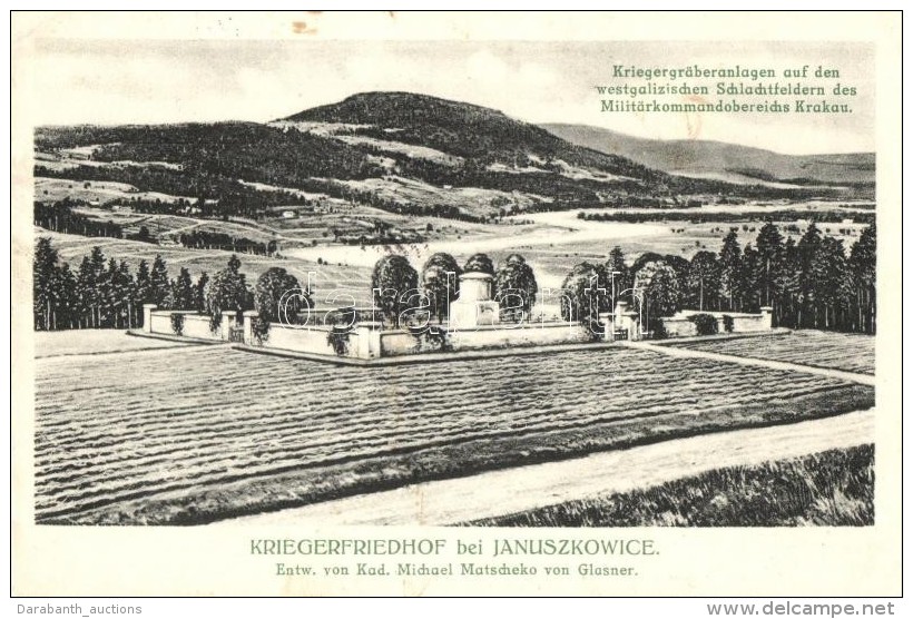 T2 Januszkowice, Kriegerfriedhof / Military Cemetery Of Military Command Region Krakow - Zonder Classificatie