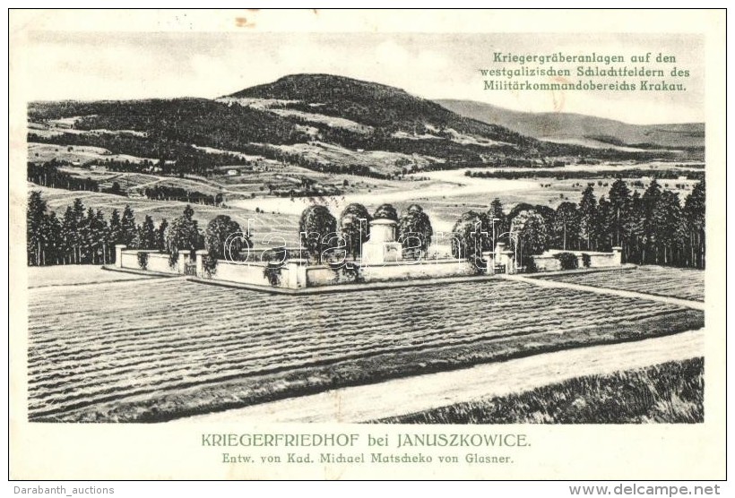 T2 Januszkowice, Kriegerfriedhof / Military Cemetery Of Military Command Region Krakow - Non Classificati