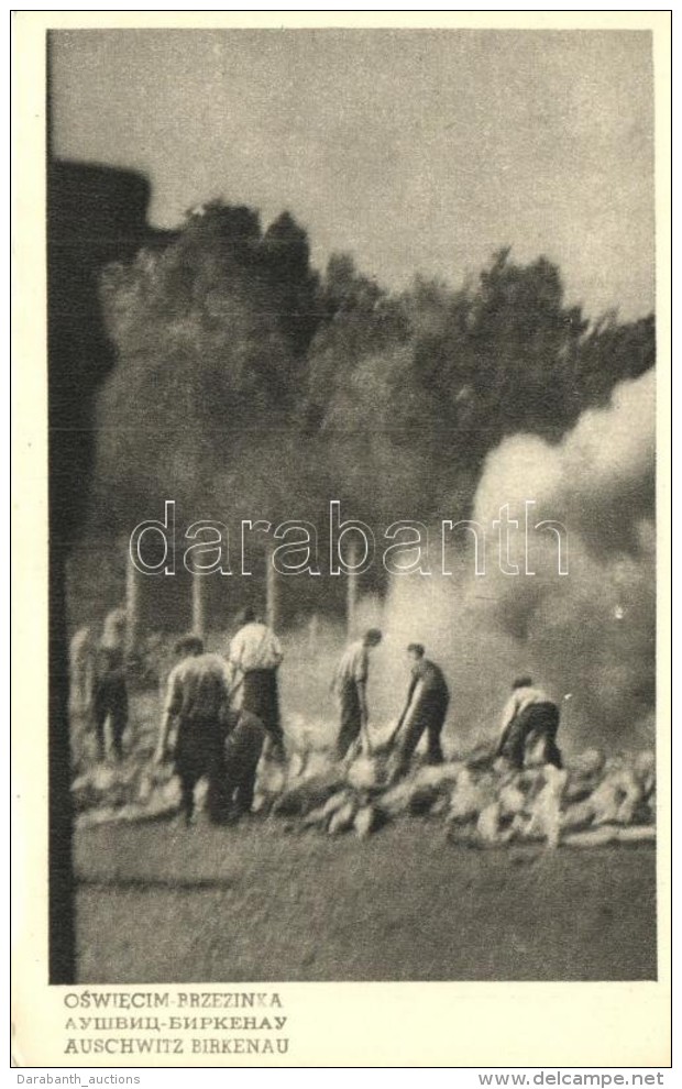 ** T1 Auschwitz-Birkenau, Oswiecim; Cremation Of Corpses On Pyres - Zonder Classificatie