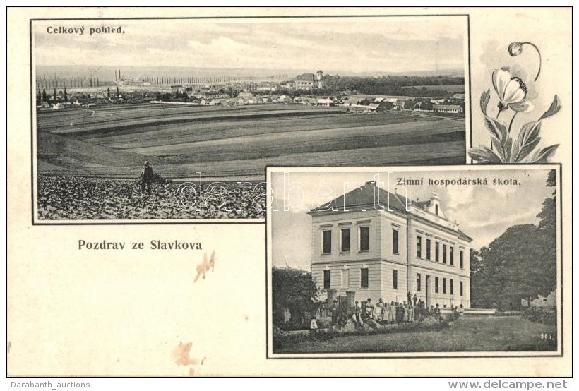T4 Slavkov U Brna, Austerlitz; Zimní Hospodarska Skola / Winter Economic School, Art Nouveau (cut) - Zonder Classificatie