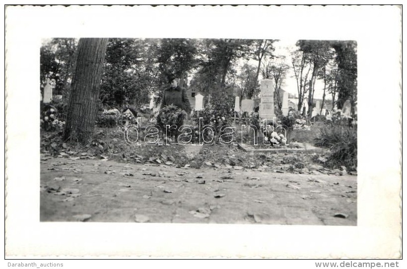 T2 1940 Újvidék, Novi Sad; TemetÅ‘ / Cemetery, Photo - Zonder Classificatie