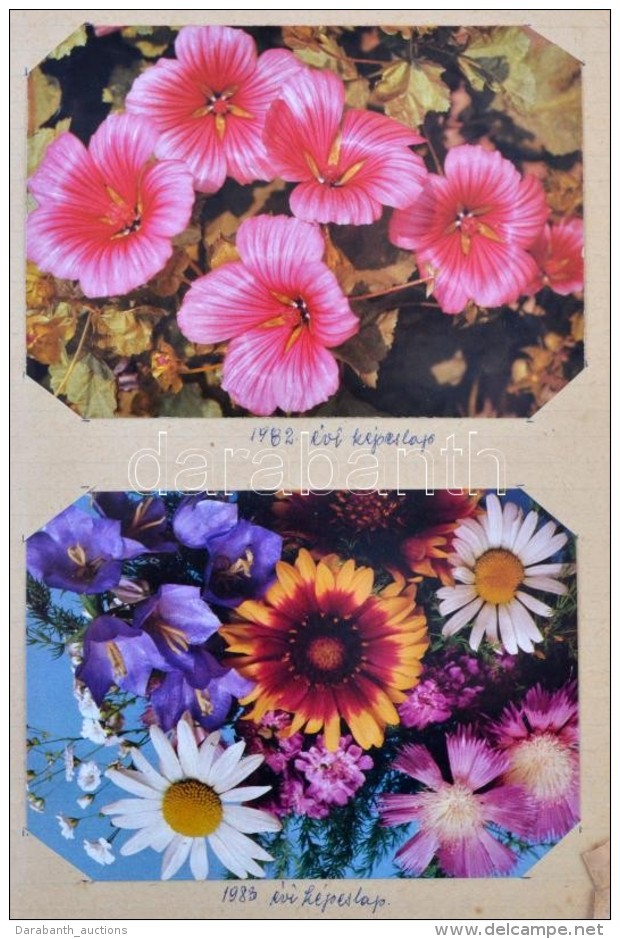 ** * 77 Db MODERN üdvözlÅ‘ és Virágos Lap Füzetben / 77 Modern Greeting And Flowert... - Non Classificati