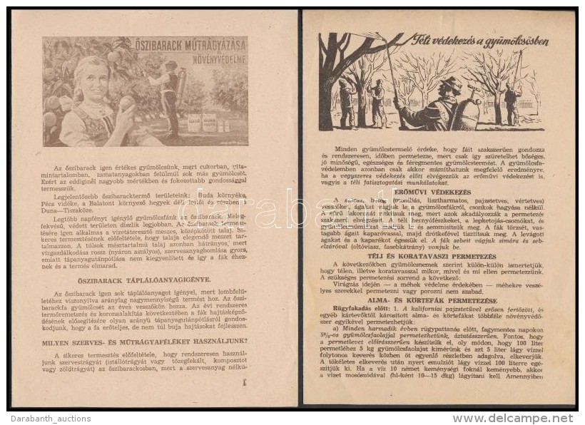 1955 MezÅ‘gazdasági Munkákkal Kapcsolatos IsmeretterjesztÅ‘ Füzetek(bordóilé... - Zonder Classificatie