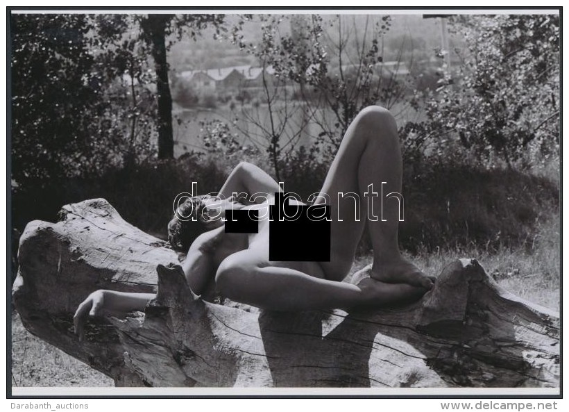 Cca 1975 Természeti Formák Egymáshoz Simulva, 2 Db Finoman Erotikus Fénykép,... - Andere & Zonder Classificatie