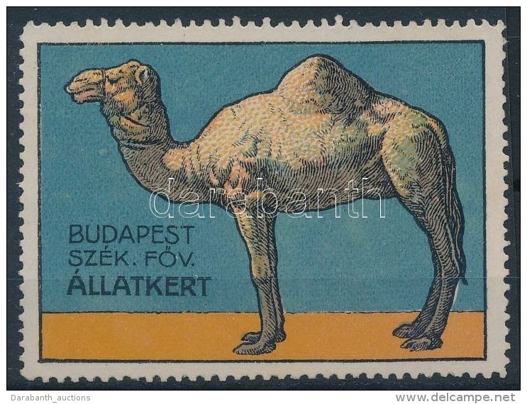 ** 1915 Budapest Szék.FÅ‘v. Állatkert - Teve Levélzáró - Zonder Classificatie