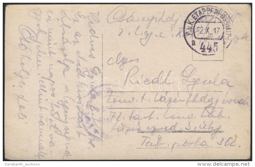 1917 Tábori Posta Képeslap 'EP 445 A'' - Altri & Non Classificati