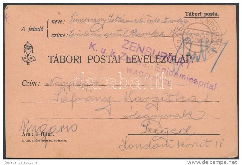 1915 Tábori Posta LevelezÅ‘lap / Field Postcard 'K.u.k. Zentral-Epidemiespital WADOWICE' + 'EP 141' - Altri & Non Classificati