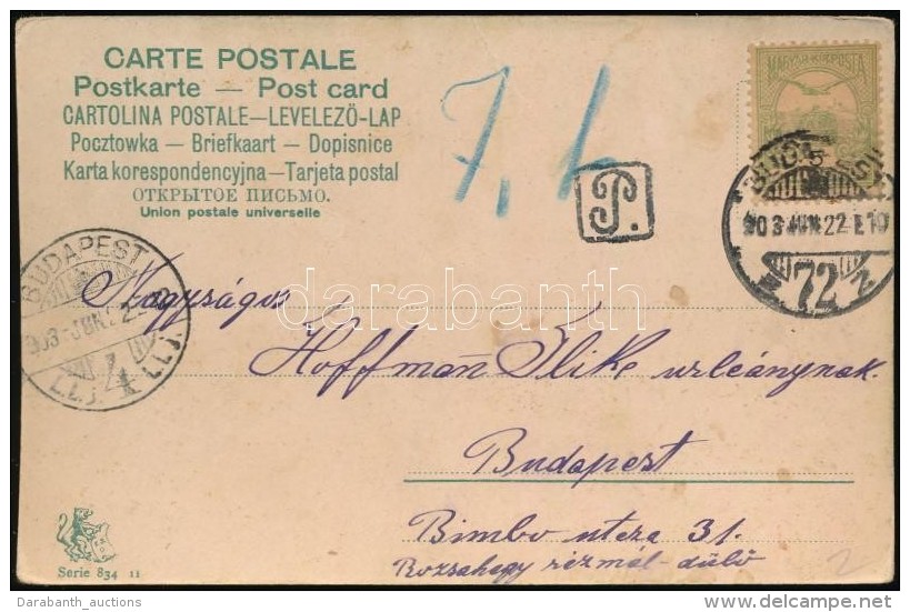 1903 - Altri & Non Classificati