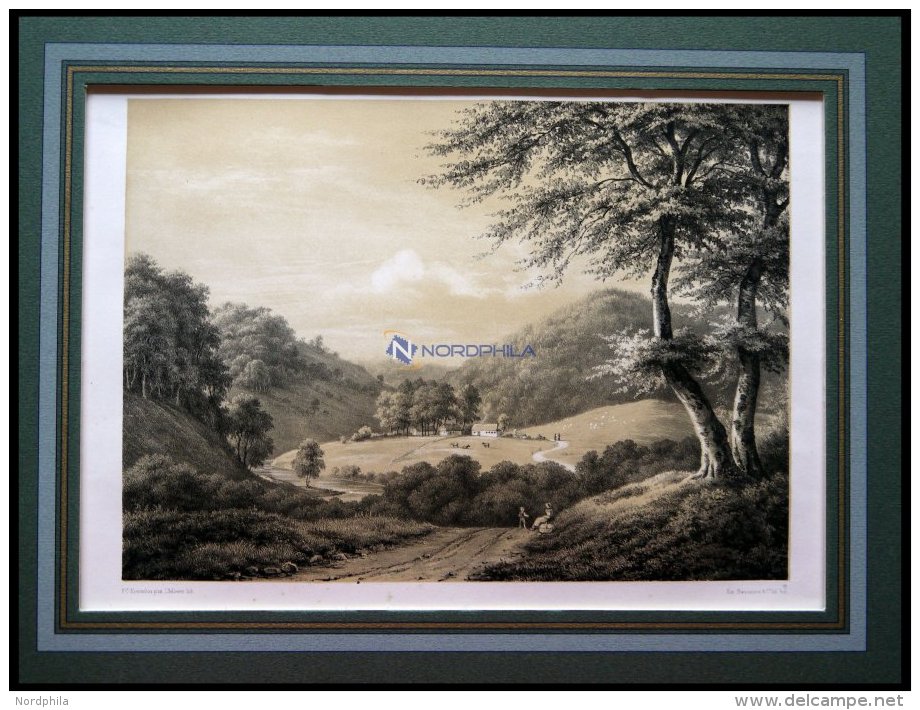 VEJLE: Greisdalen, Getönte Lithographie Von Hellesen/Baerentzen 1856 - Lithographies