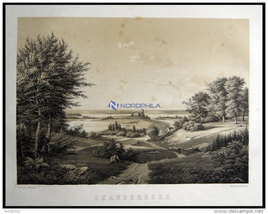 SKANDERBORG (Skanderborg), Gesamtansicht, Lithographie Mit Tonplatte Von Alexander Nay Nach A. Juuel Bei Emil Baerentzen - Lithographies