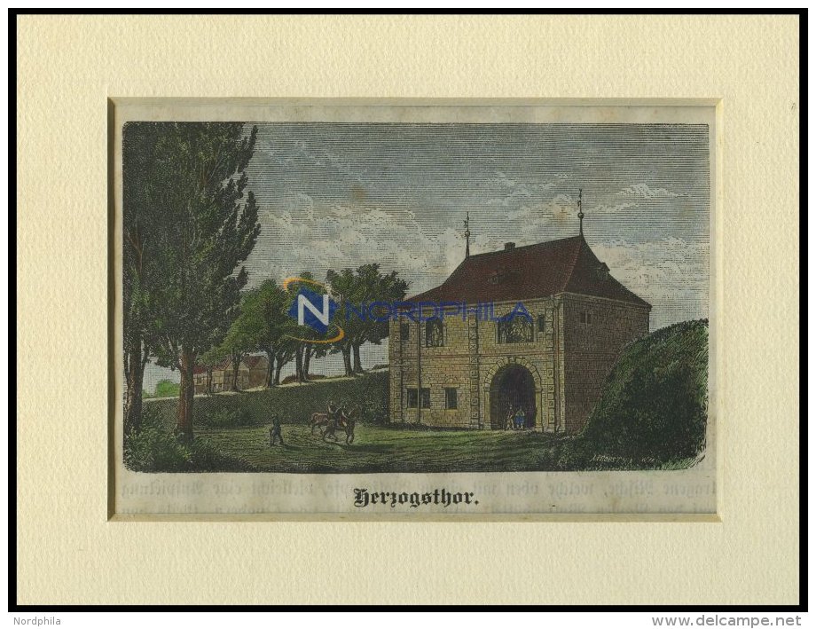 WOLFENBÜTTEL: Das Herzogsthor, Kolorierter Holzstich Auf Vaterländische Geschichten Von Görges 1843/4 - Lithographies