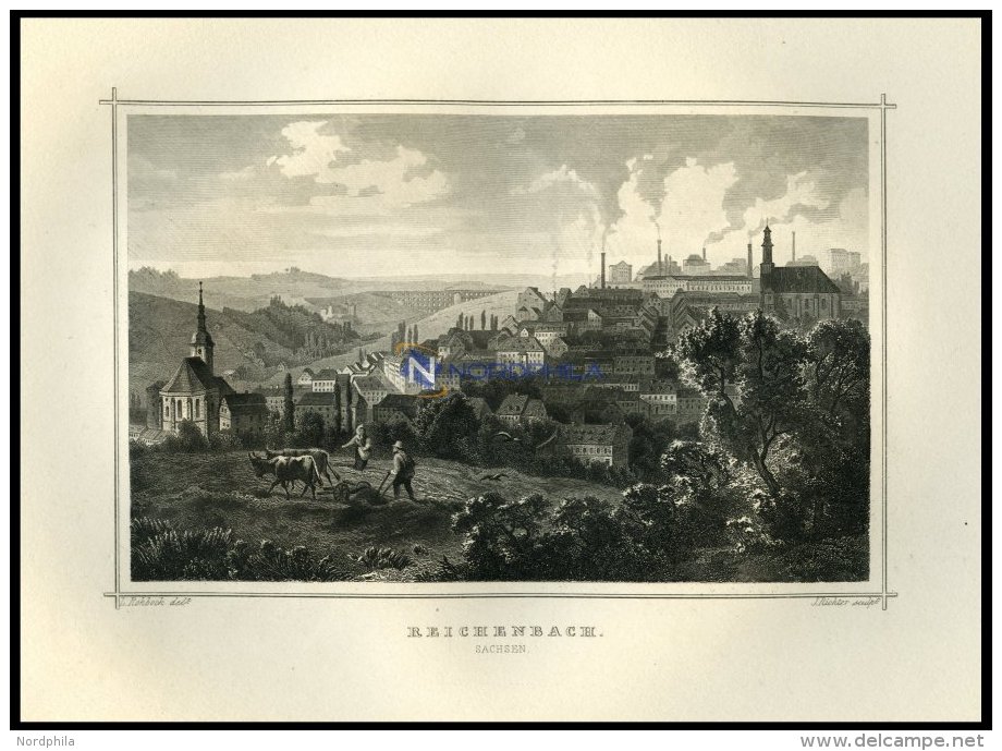 REICHENBACH/SACHSEN, Gesamtansicht Mit Arbeitendem Bauern Im Vordergrund, Stahlstich Von Rohbock/Richter Um 1850 - Lithographies