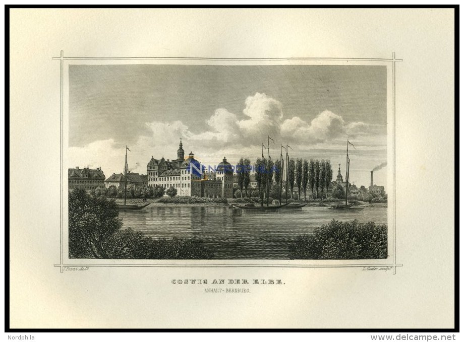 COSWIG AN DER ELBE: Die Anhalt-Bernburg Mit Schiffen Im Vordergrund, Stahlstich Von Pozzi/Oeder Um 1850 - Lithographies