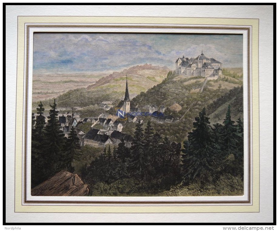 BLANKENBURG: Schloß Und Stadt, Kolorierter Holzstich Nach Probst Von 1878 - Lithographies