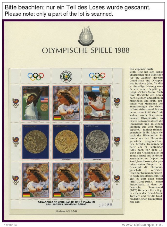 SPORT **,Brief , Sammlung Olympische Spiele 1988 Mit Blocks, Aerogrammen, Maximumkarten, Kleinbogen, Stamp Album Sü - Autres & Non Classés