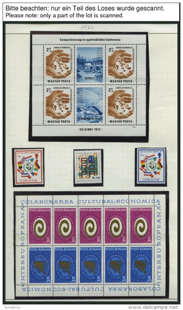 EUROPA UNION **, Sammlungsteil Sympathie- Und Mitläuferausgaben Von 1966-75, Mit Kleinbogen Und Blocks, Pracht, Mi. - Collections