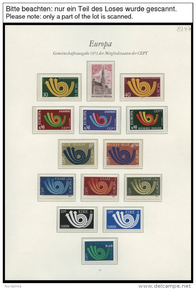 EUROPA UNION **, 1973, Posthorn, Kompletter Jahrgang, Pracht, Mi. 109.- - Collections