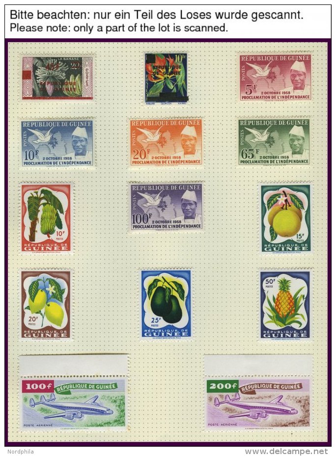 GUINEA *, **, 1959-68, Praktisch Komplette Sammlung Im Album (ohne Ungezähnte Ausgaben), Blocks Wohl Alle Postfrisc - Guinée (1958-...)