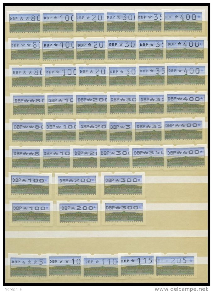 AUTOMATENMARKEN **, 1993, Kleine Dublettenpartie Mit: 2.1.1 VS 1, VS 2 (ohne Rückseitige Nummer), 2.2.1 VS 1 (mit N - Timbres De Distributeurs [ATM]