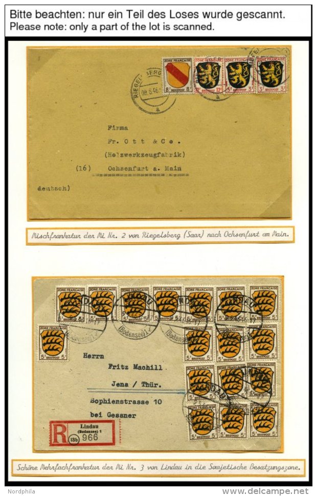 SAMMLUNGEN, LOTS *,**,o,Brief , Umfangreiche Sammlung Französische Zone Von 1945-49 Im SAFE Album Mit Verschiedenen - Autres & Non Classés