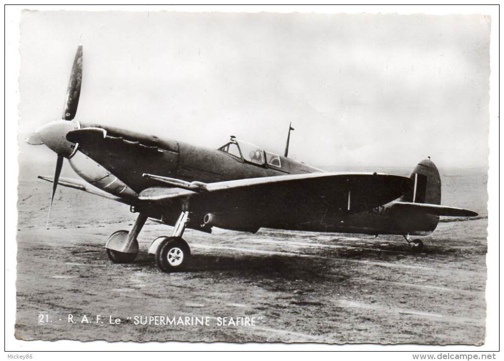 Avion De Guerre- " R.A.F--Le SUPERMARINE SEAFIRE  " ,cpsm 15 X 10 N° 21  éd  Superluxe.......à Saisir - Autres & Non Classés