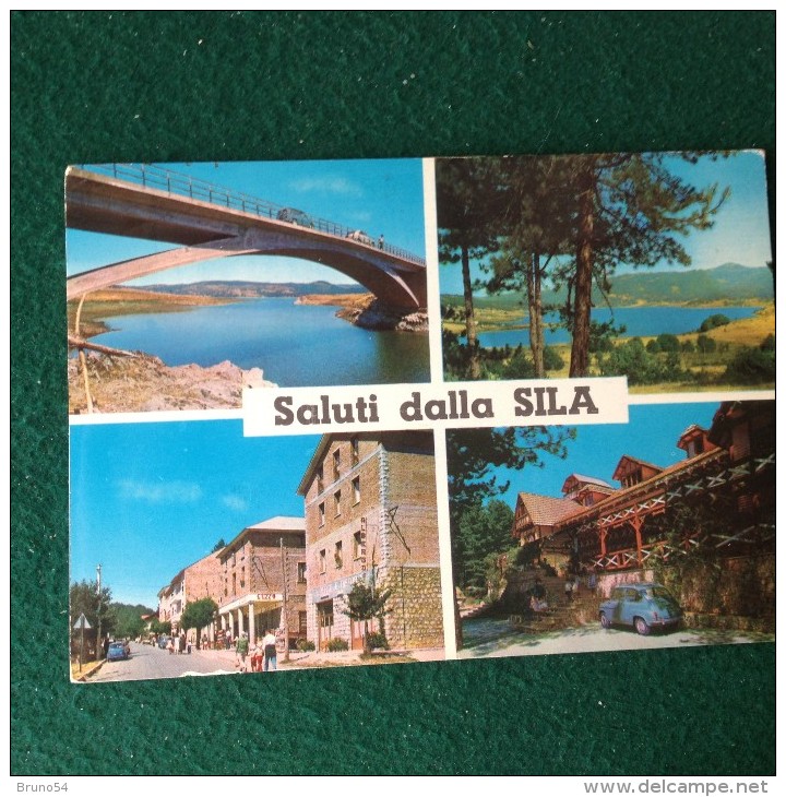 Cartolina Saluti Dalla Sila  Non Viaggiata Calabria - Andere & Zonder Classificatie