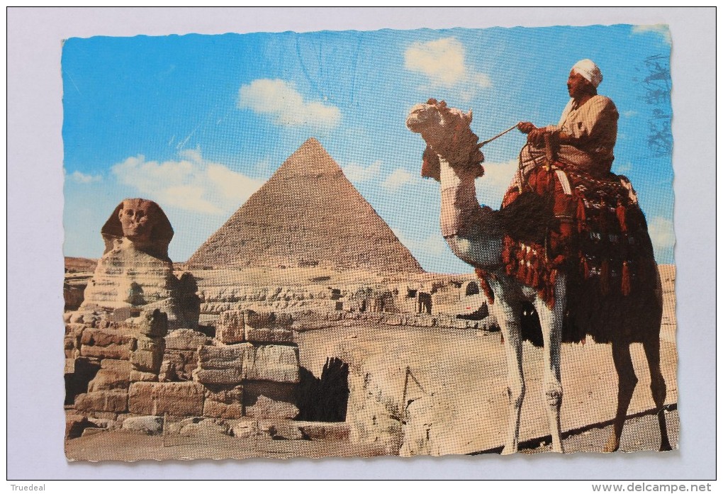 Tourist Guide On Camel Near The Great Sphinx / Grossen Sphinx / Grand Sphinx + Liban Stamps - Sphinx