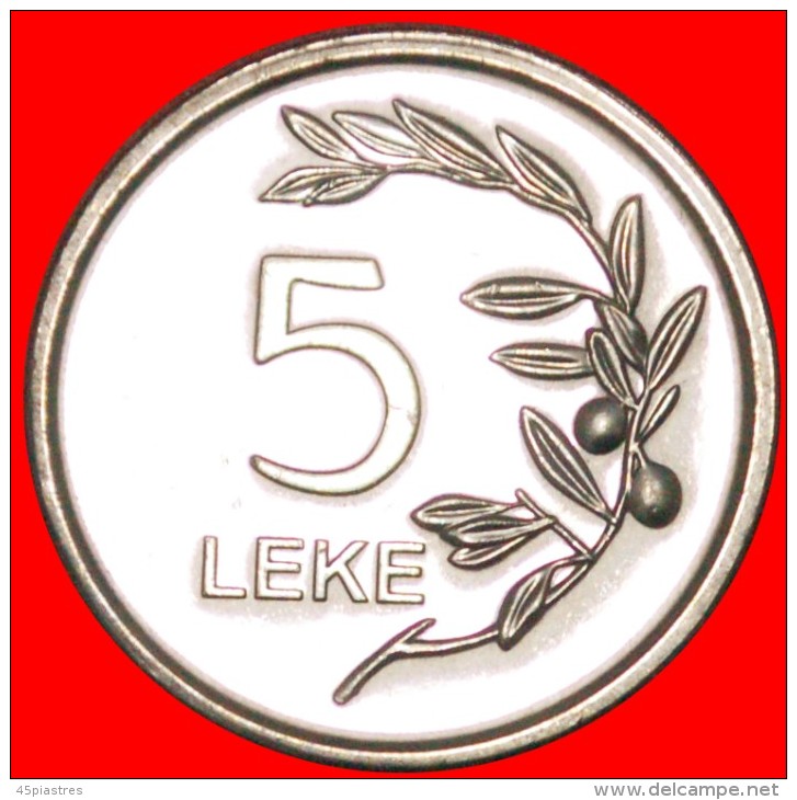 • OLIVE: ALBANIA ★ 5 LEKS 2011 MINT LUSTER! LOW START&#9733; NO RESERVE! - Albanie