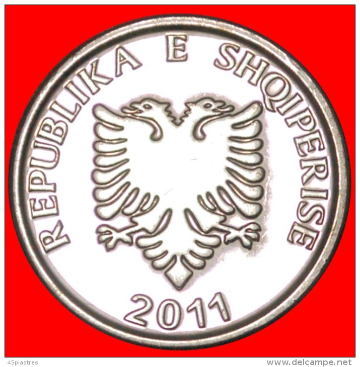 • OLIVE: ALBANIA ★ 5 LEKS 2011 MINT LUSTER! LOW START&#9733; NO RESERVE! - Albanie
