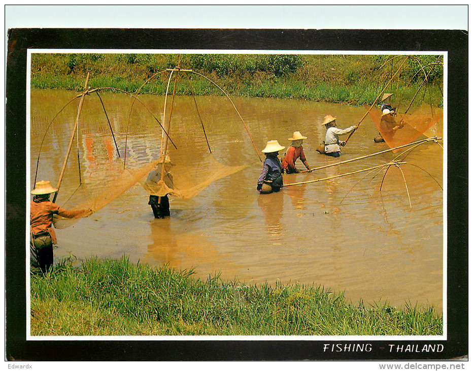 Fishing, Thailand Postcard Posted 2005 Stamp - Thailand