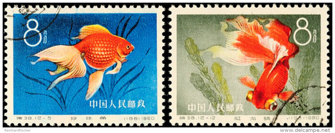 Goldfische, Tadellos, Gest., Katalog: 534/45 OGoldfish, In Perfect Condition, Used, Catalogue: 534/45 O - Autres & Non Classés