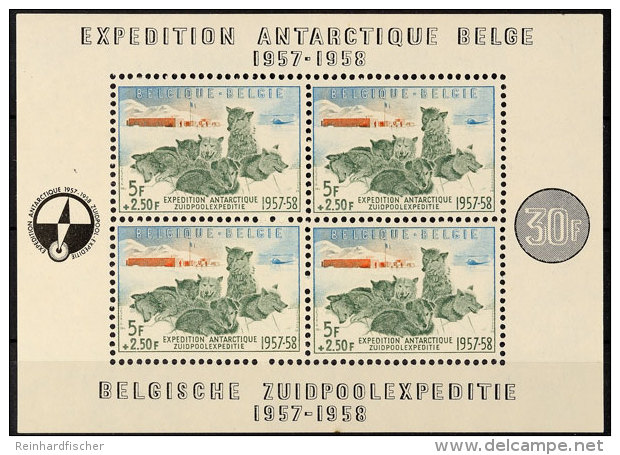 Südpolar-Expeditionsblock, Postfrisch Tadellos, Mi. 180,-, Katalog: Bl. 25 **South Pole Expeditionsblock,... - Otros & Sin Clasificación