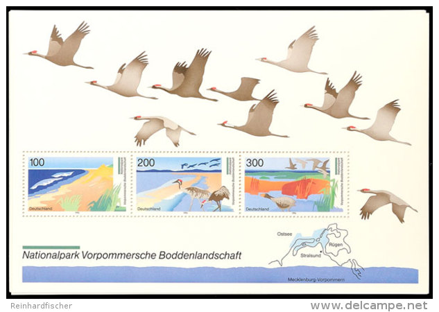 1996, Block-Ausgabe "Vorpommersche Boddenlandschaft", 10 Stück Postfrisch, Mi. 80.-, Katalog: Bl.36(10)... - Autres & Non Classés