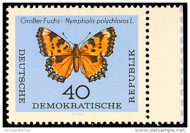 40 Pfg Schmetterling Mit Plattenfehler "linker Fühler Unterbrochen", Tadellos Postfrisch, Mi. 120,-, Katalog:... - Autres & Non Classés
