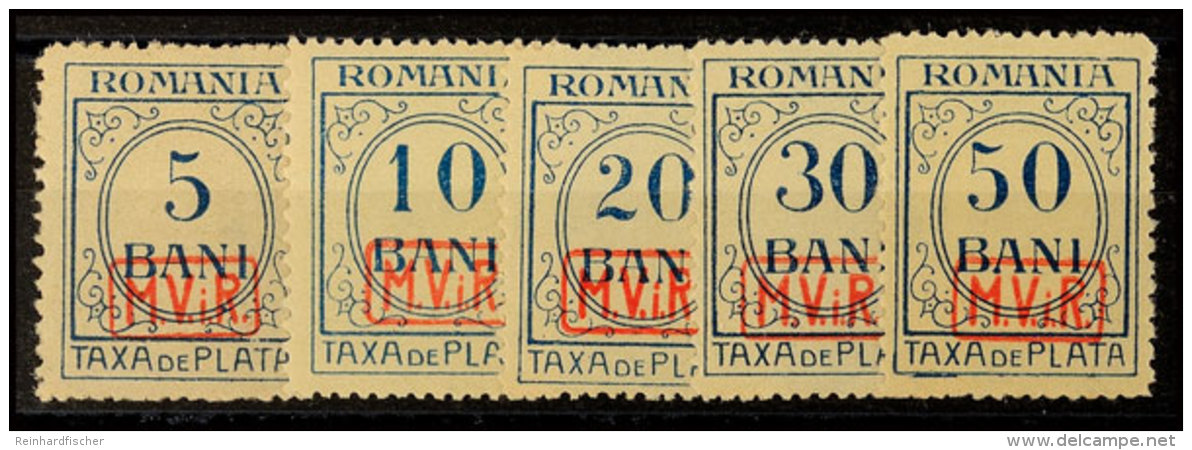 5 - 50 B. Portomarken, Tadellos Postfrisch,  Mi. 400.-, Katalog: 1/5 **5 - 50 B. Postage Due Stamps, In Perfect... - Autres & Non Classés