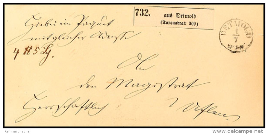 "DETMOLD 1/7 (1864)" - K1, Auf Paketbegleitbrief, Nebst Vermerk "Herrschaftlich" Und Taxquadrat-Paket-Zettel... - Otros & Sin Clasificación