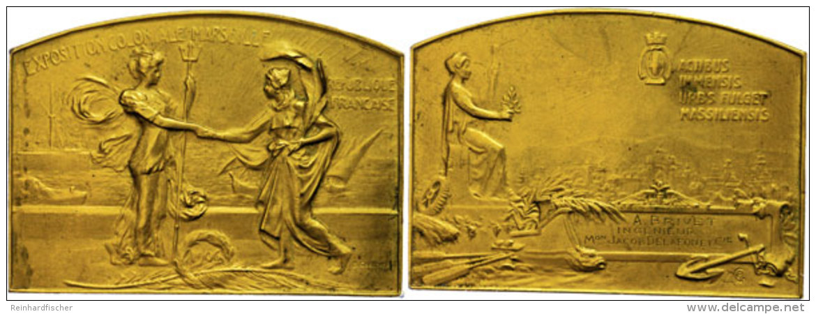 Frankreich, Vergoldete Bronzeplakette (ca. 70,90x50,90mm, Ca. 100,02g), 1906, Von R. Grégoire, Auf Die... - Autres & Non Classés