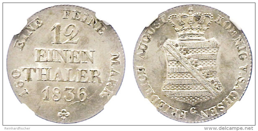 1/12 Taler, 1836, Friedrich August II., AKS 105, J. 71, In Plastikholder Der NGC Mit Der Bewertung "MS 63".  1... - Autres & Non Classés