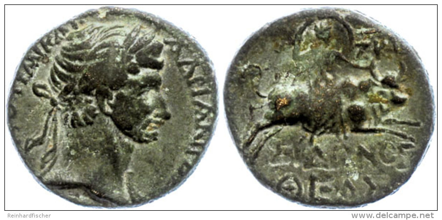 Phönizien, Sidon, AE (8,62g), 117, Hadrianus. Av: Kopf Nach Rechts, Darum Umschrift. Rev: Europa Auf Stier... - Provincia
