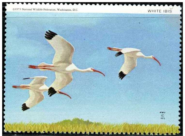 USA 1973. White Ibis. Timbre / Vignette (4 X 4 Cm) National Wildlife Fed. - Ooievaars