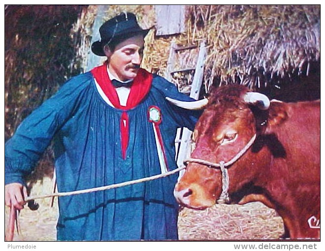 Cpsm FOLKLORE Du LIMOUSIN , LOU GERBASSOU , Maquignon Et Sa VACHE , Man & His COW  Recto Verso  Prix Fixe - Vaches