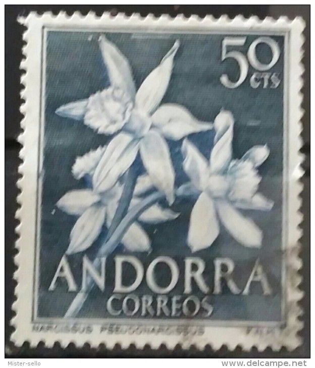 ANDORRA 1966. Flora. USADO - USED. - Gebruikt