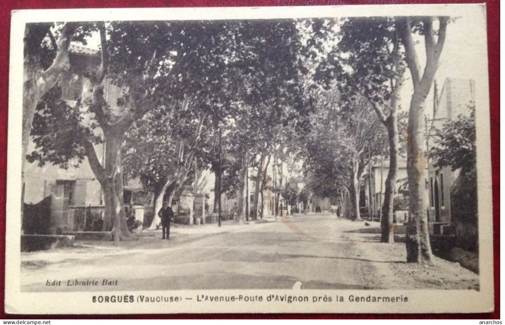 84 SORGUES L'Avenue Route D'Avignon Près La Gendarmerie - Sorgues